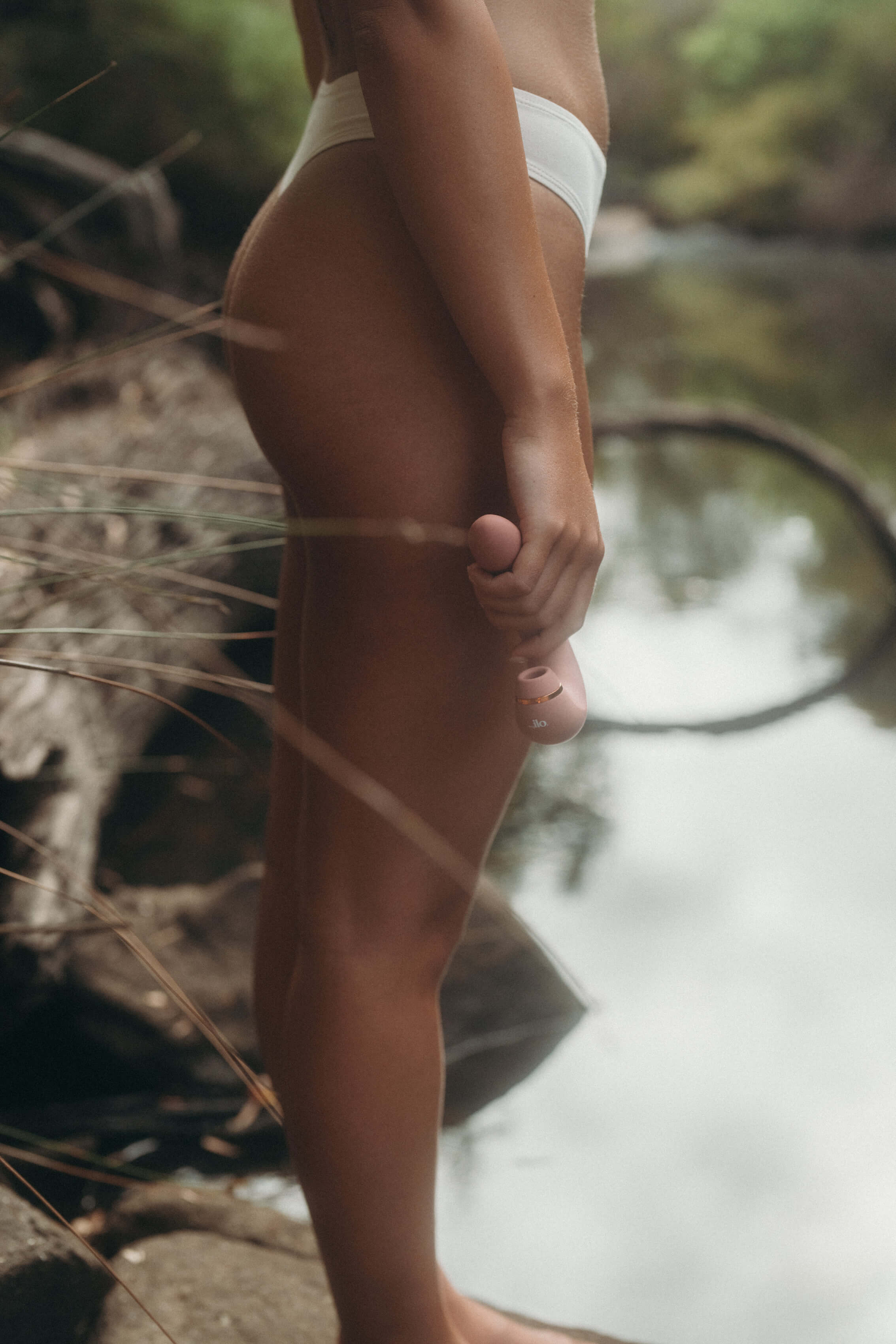 Anatomy of the Vulva